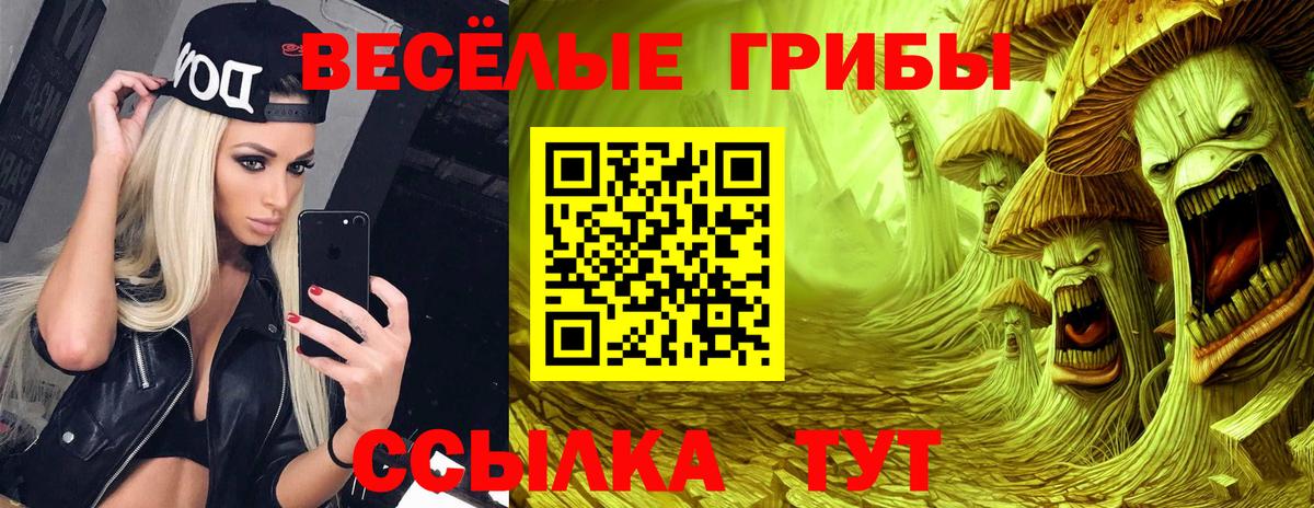 Галлюциногенные грибы мухоморы  Вход с VPN  Торжок 